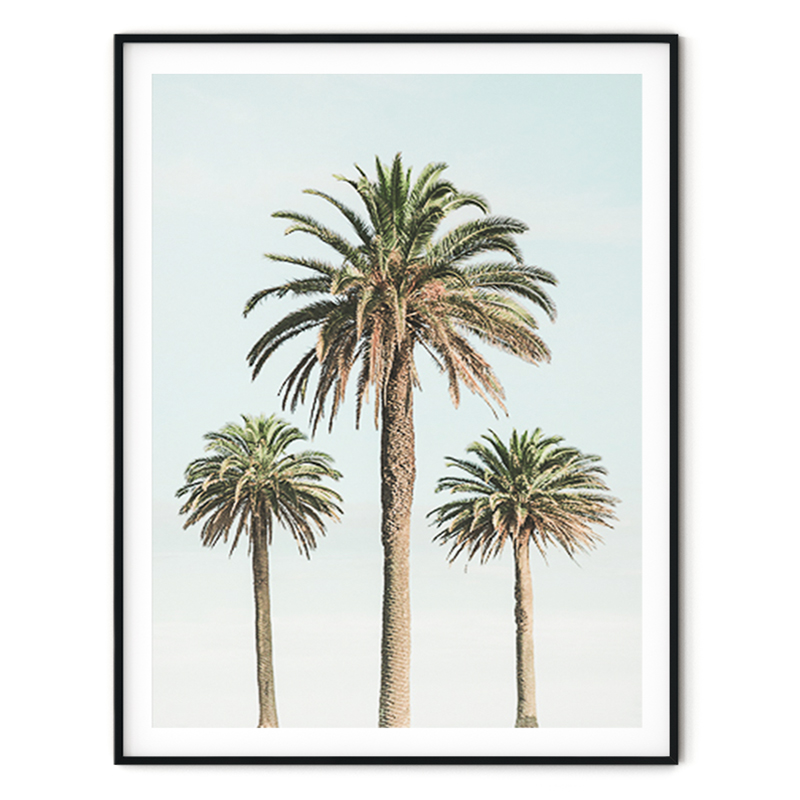16522_black thin frame with mat