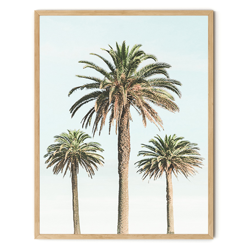 16522_wood frame