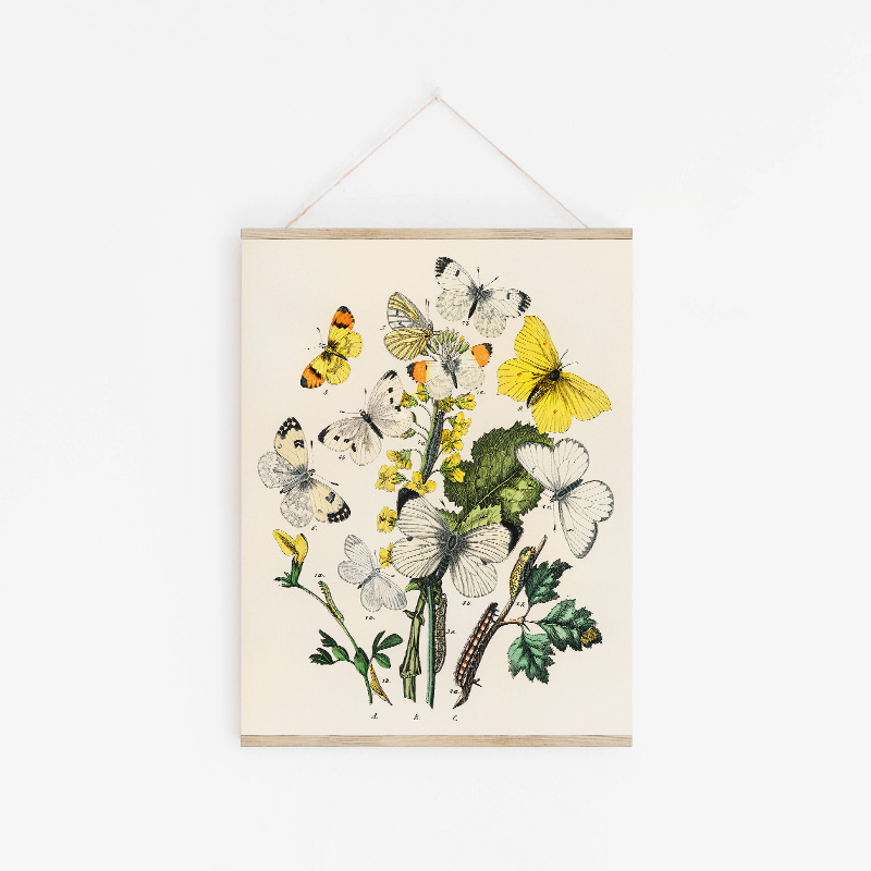 9813_4_5_yellow-butterflies Poster med blommotiv